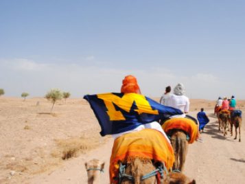 Go Blue Wherever You Are!  